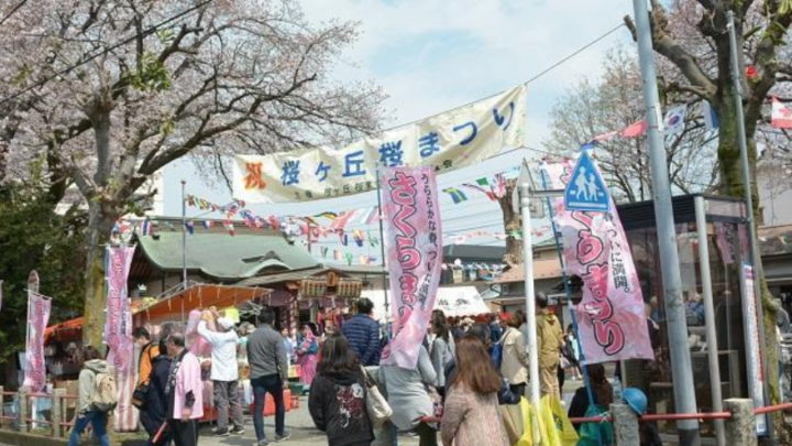 第49回桜ヶ丘桜まつりの中止