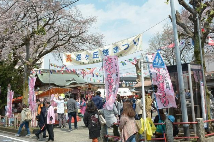 第49回桜ヶ丘桜まつりの中止