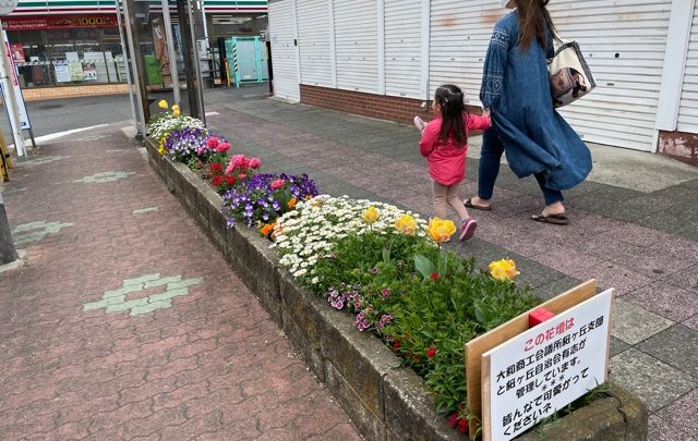 桜ヶ丘駅前ロータリー花壇手入れ