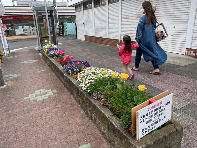 桜ヶ丘駅前ロータリー花壇手入れ