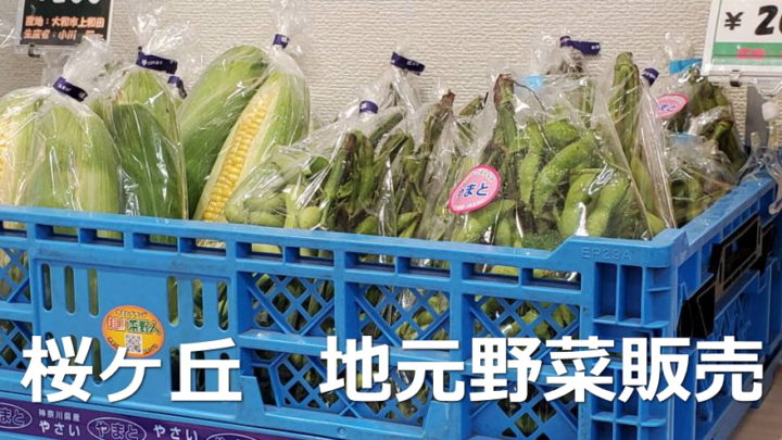 地元野菜販売を再開！