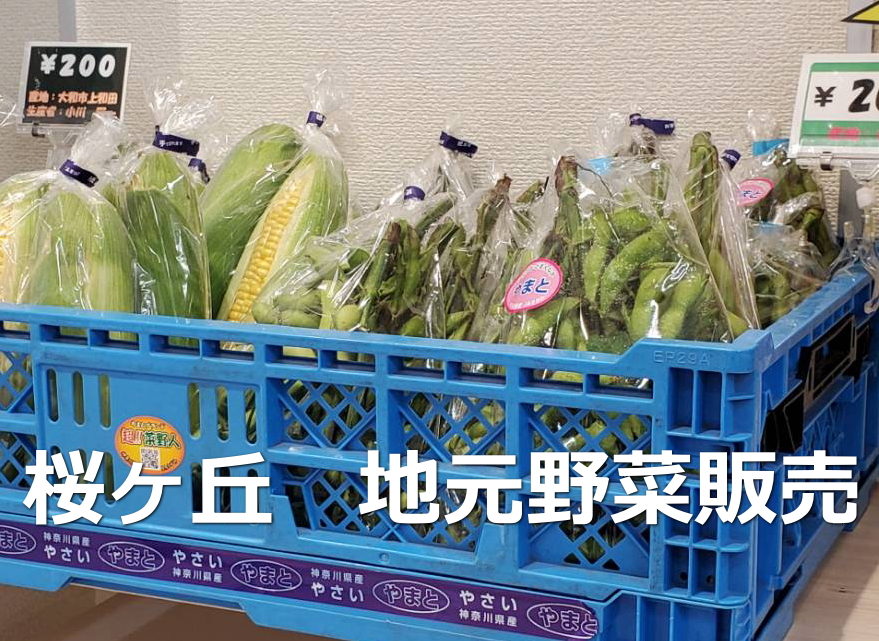 地元野菜販売を再開！